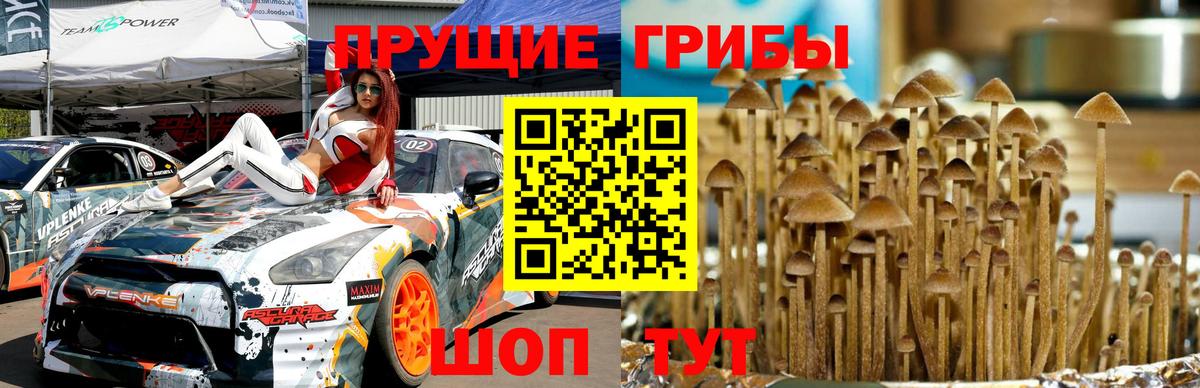 Барнаул  Галлюциногенные грибы Magic Shrooms  Вход с VPN 